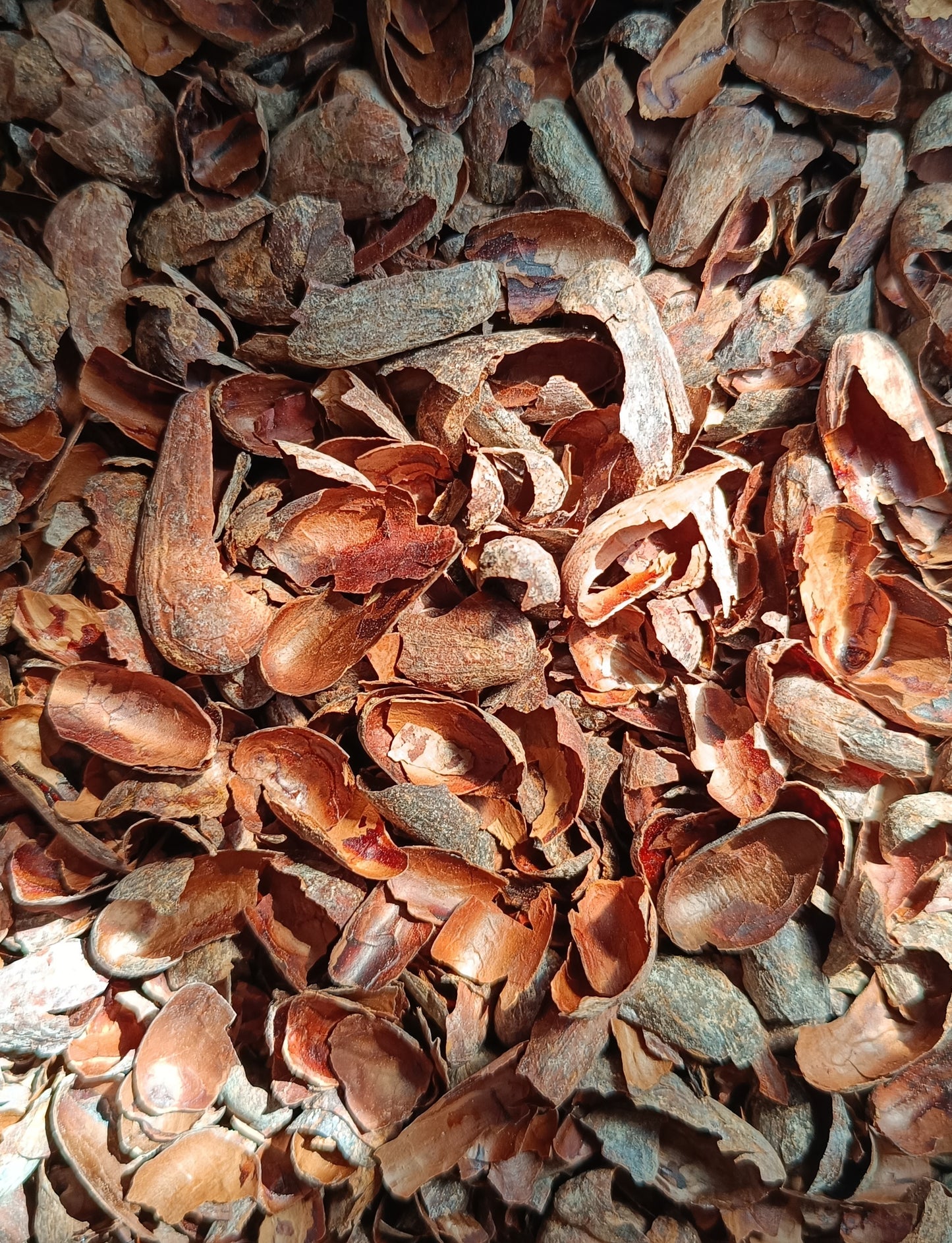 Infusion de cáscara de cacao, 50g