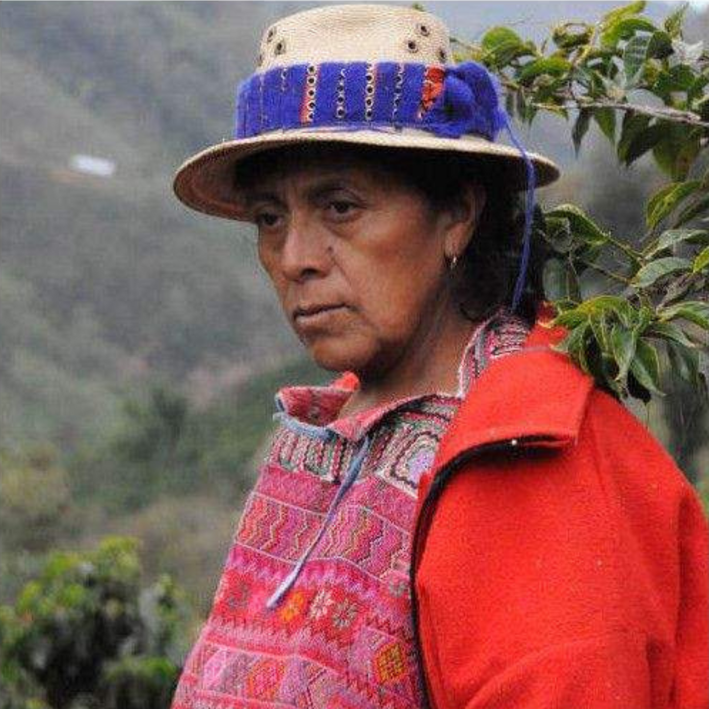 Organic Coffee CODECH Mujeres Productoras - Guatemala 250 g. High quality speciality coffee