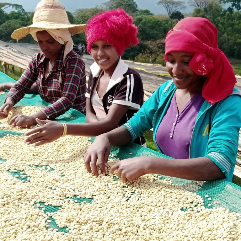 Organic coffee NANO CHALLA, Etiopía, 250 g. High quality speciality coffee