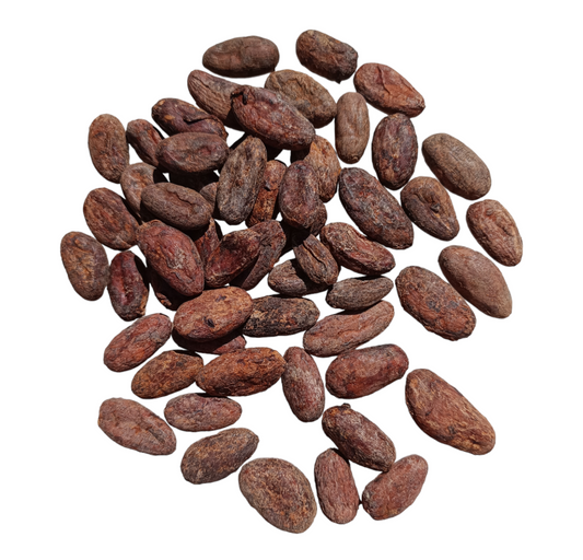 Granos de Cacao O'Tuma de Nicaragua. Crudo y Orgánico: Revelando un Sabor Exquisito